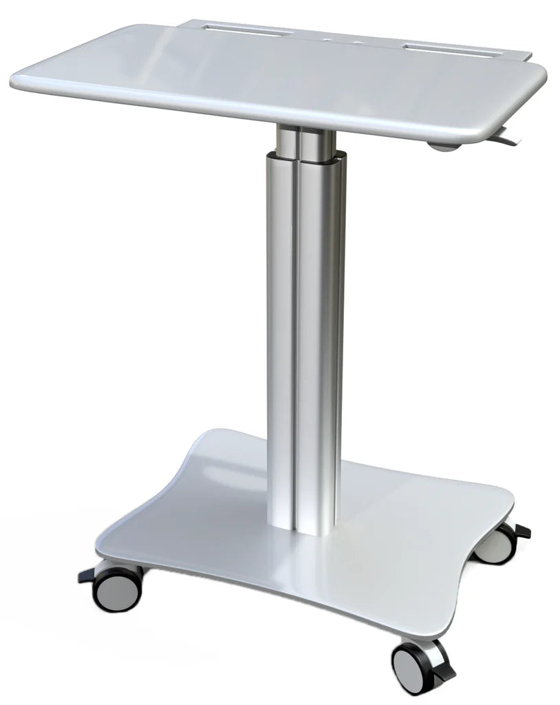 Sit-Standing Mobile Laptop Cart, Rolling Desk with Height Adjustable 31.5" x 23.6" Platform, Supports up to 17.6 lbs, Silver (LPC05)