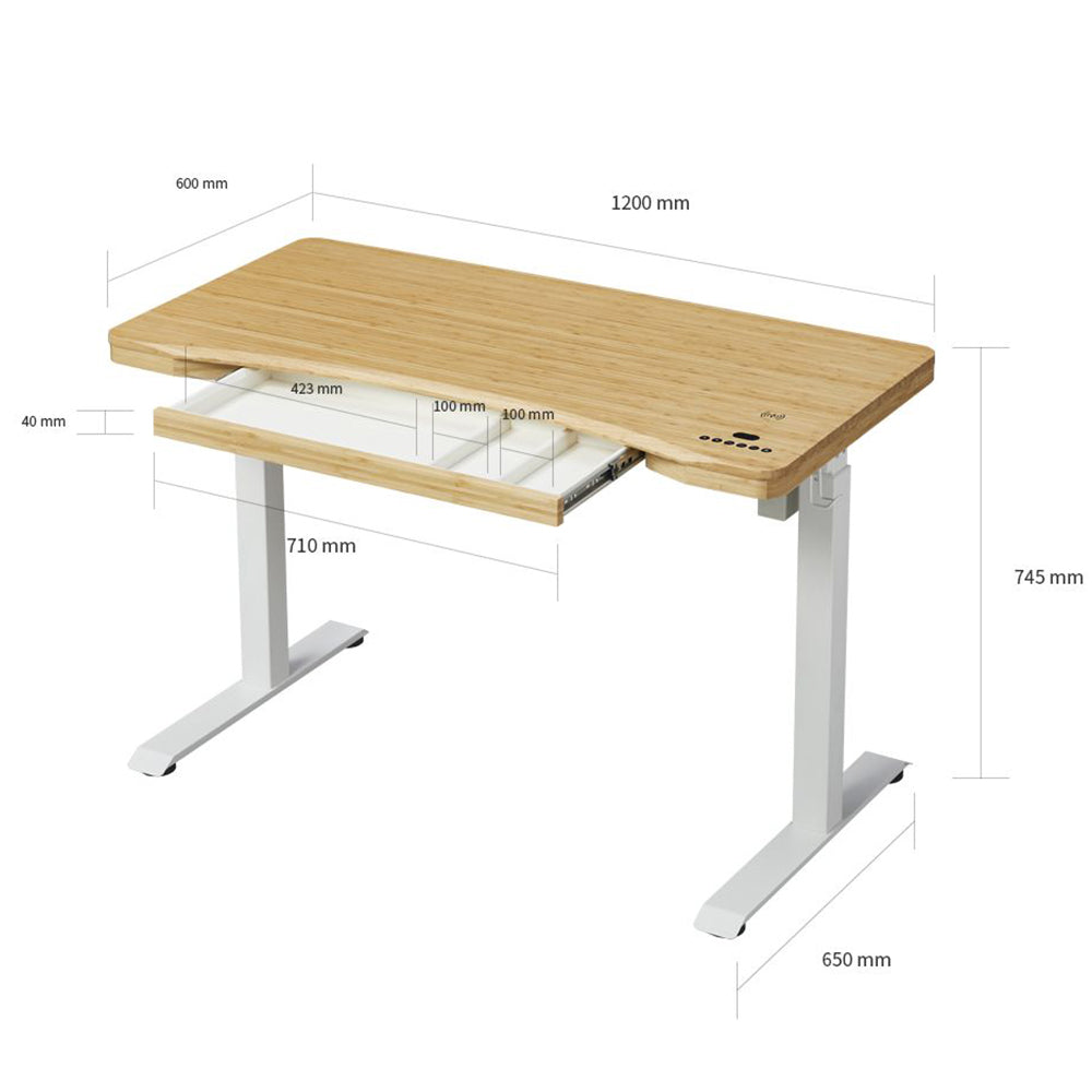 Single Motor Electric Sit to Stand Workstation with In-Built Drawer, Height Adjustable with Supportive Legs, Bamboo Top (R3071)