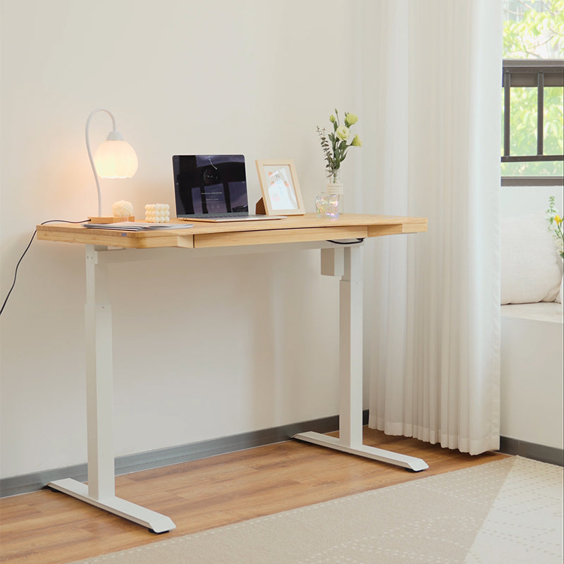 Single Motor Electric Sit to Stand Workstation with In-Built Drawer, Height Adjustable with Supportive Legs, Bamboo Top (R3071)