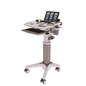 Laptop Cart (HSC04E)