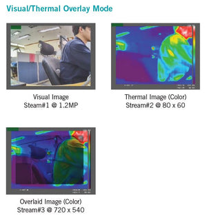 Idis Dual Sensor (Thermal+Sensor) IP Camera for Fever screening (Outdoor Model)