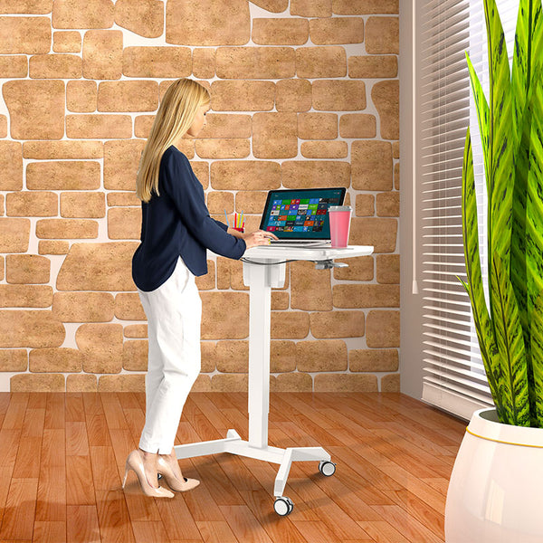 Standing newest rolling store laptop desk
