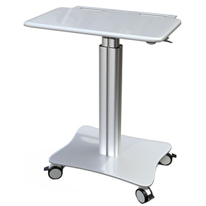 Sit-Standing Mobile Laptop Cart, Rolling Desk with Height Adjustable 31.5" x 23.6" Platform, Supports up to 17.6 lbs, Silver (LPC05)