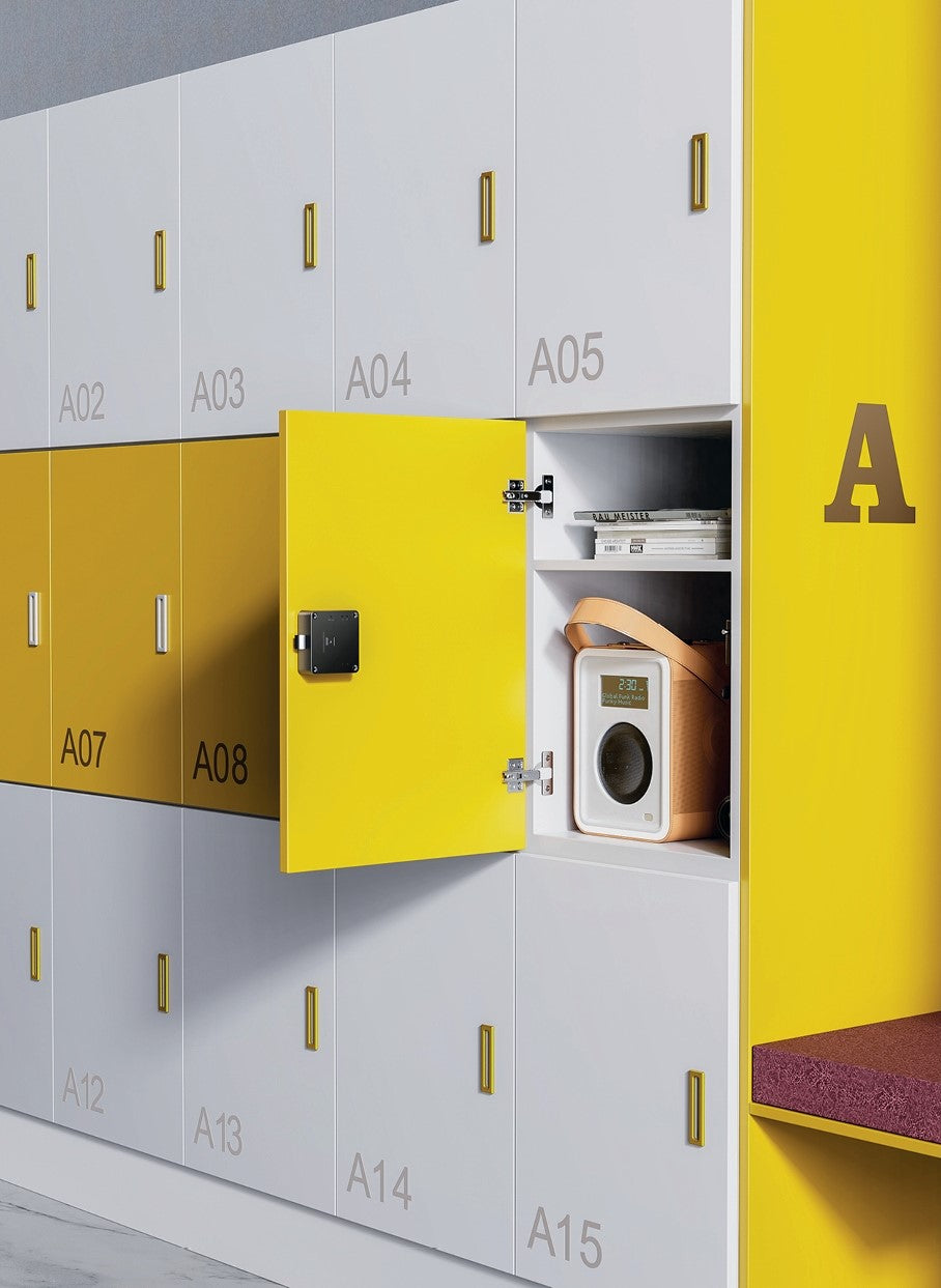 From Traditional Locks to Smart Systems: The Evolution of Cabinet Security