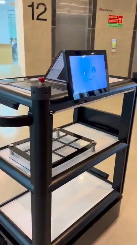 Telemedicine Robots in Hospitals: Preparing Physicians and Patients for a New Era of Virtual Care
