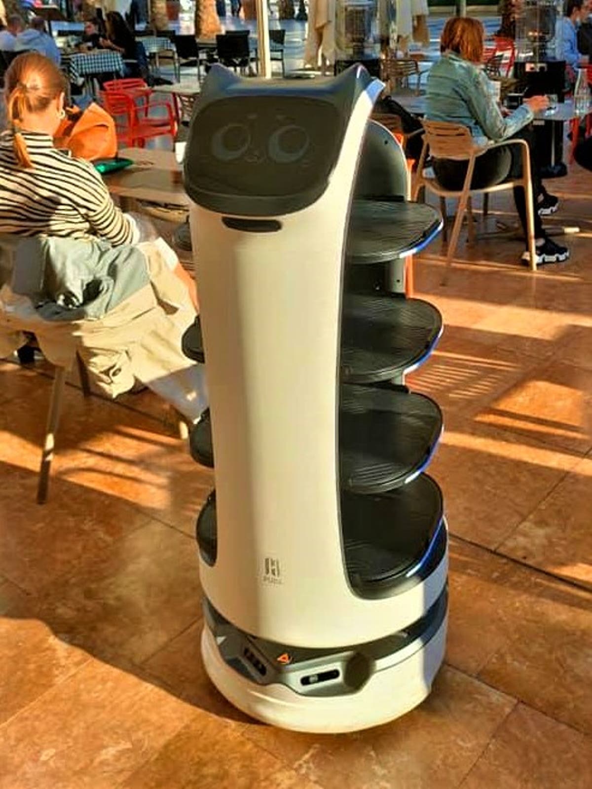 Food Delivery Robots in India: Transforming the Future of Urban Food Services