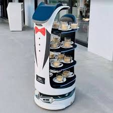 Rife Bellabot: Revolutionizing Food Delivery with Robots Review