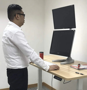 Dual Monitor Desk Stand Free-Standing LCD Mount, Holds in Vertical Position 2 Screens up to 27-inch, 5 Years Warranty, Silver (2MSFVS)