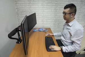 Dual Gas Spring  Arm L2D