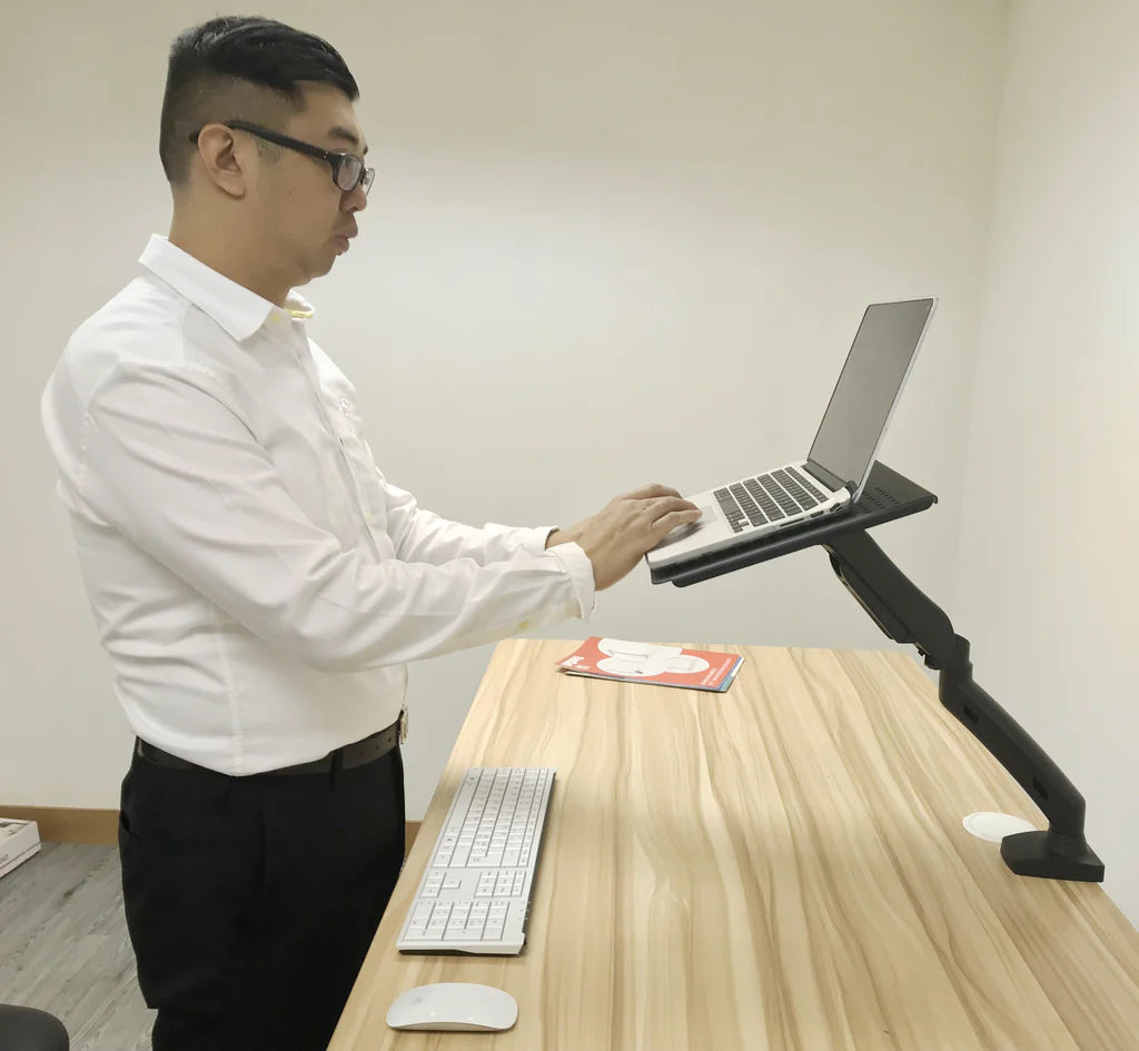 Full Motion Articulation Gas Spring Laptop Desk Stand Arm - Height Adjustable Notebook Riser, Silver/Black (NAGS)