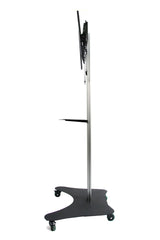 LCD TV Floor Stand (RK02)