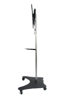 LCD TV Floor Stand (RK02)