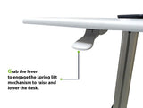 Sit-Standing Mobile Laptop Cart, Rolling Desk with Height Adjustable 31.5" x 23.6" Platform, Supports up to 17.6 lbs, Silver (LPC05)
