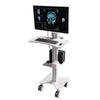 Sit Stand Mobile Workstation with Gas Spring Arm and Keyboard Tray, Optional CPU Holder, Printer Shelf & Basket, White (MCTGW)