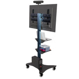 Rife Single LED/LCD/Plasma TV Floor Stand, Supports TVs from 32”-55" (UPT1)