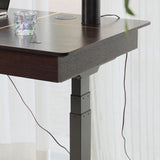 Dual Motor Electric Sit to Stand Workstation with Embedded Pull-Out Drawer, Height Adjustable with Supportive Legs, Smoky Wood Veneer Top (R20122-01 Basic)