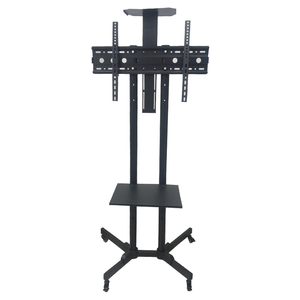 Rife Video Conferencing Trolley LCD TV Floor Stand (VCT01)